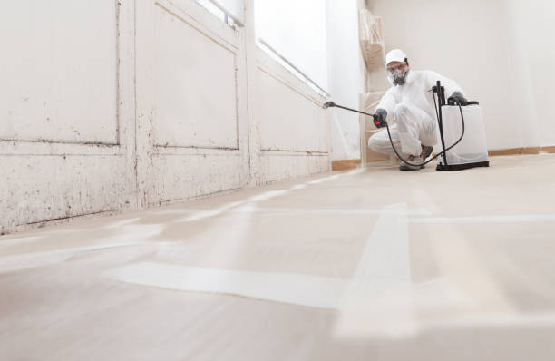 24/7 Emergency Attic Mold Removal experts in Forest Park, GA