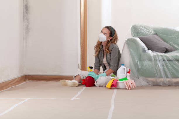 Reliable Attic Mold Removal contractor in Forest Park, GA by WQB Mold Removal