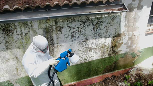 Top rated local Attic Mold Removal specialists in Forest Park, GA